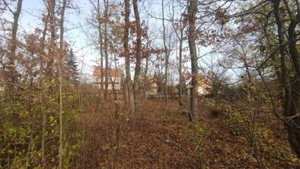 kuće   Beograd okolina  Barajevo okolina    Cara Uroša