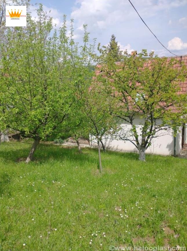 naslov
