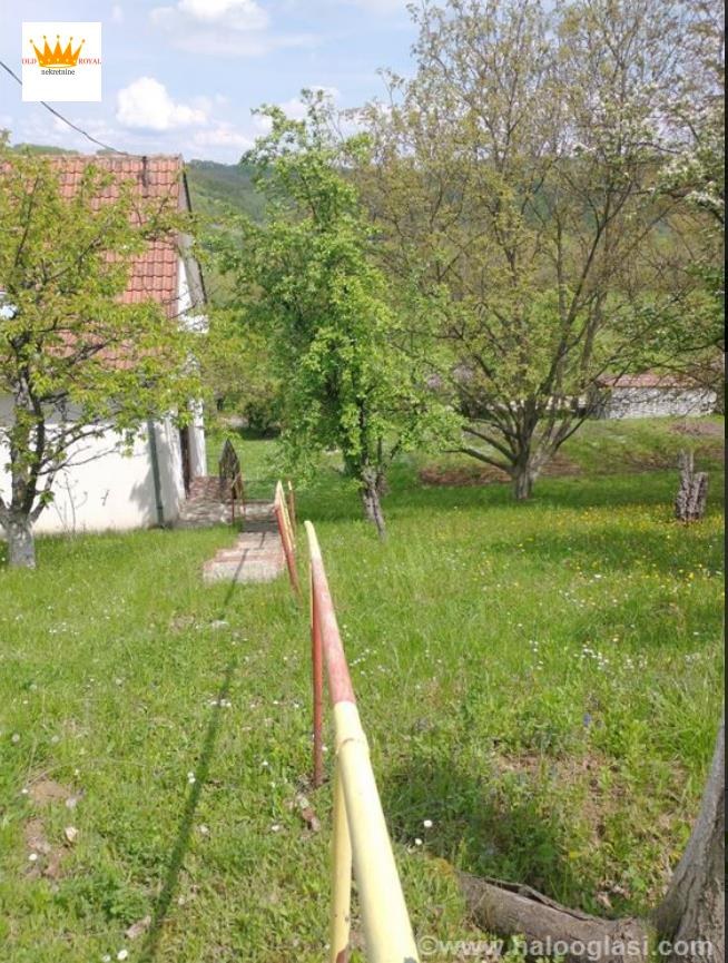 naslov